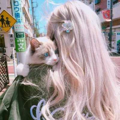 bat365官网登录入口下载手机版截图